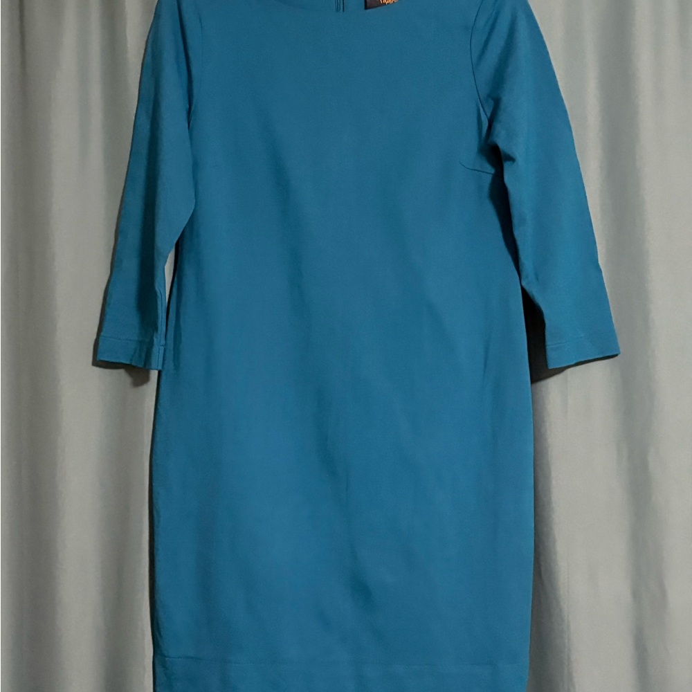 Just...Taylor Blue Sheath Dress with Raglan Sleeves